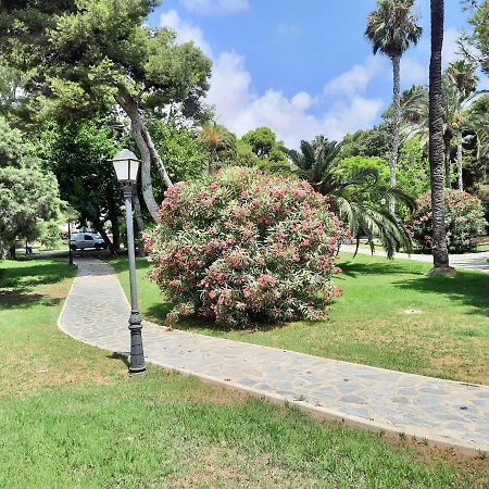 Sinforosa Park Apartments Torrevieja Bagian luar foto
